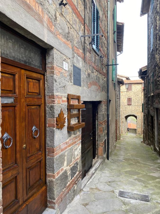 La Foglia *